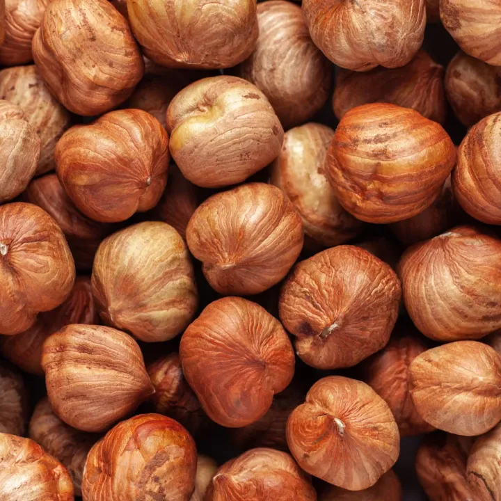 Natural raw hazelnut kernels