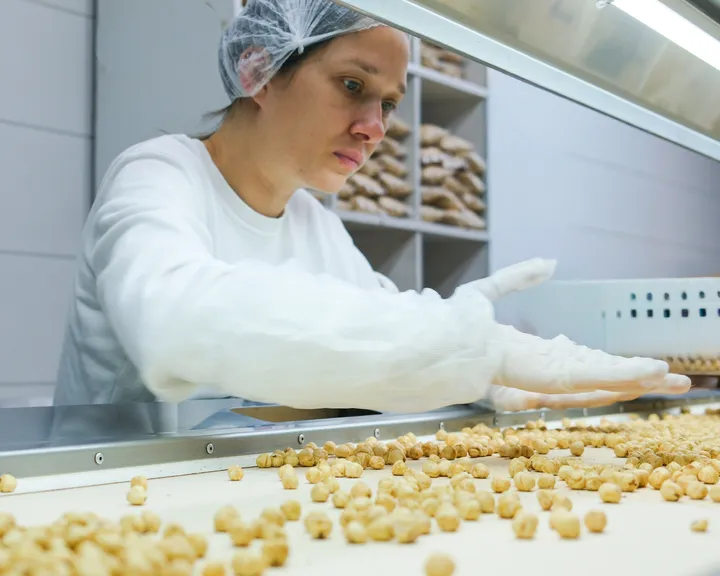 Dr. Yasemin Kuruca checking hazelnut kernels on a production line